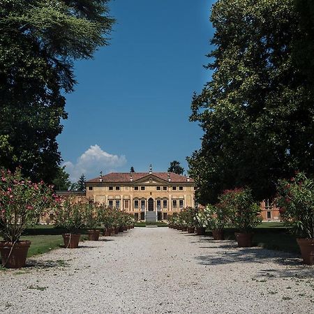 Villa Curti Sovizzo 外观 照片